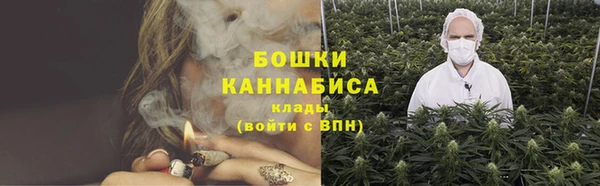 ПСИЛОЦИБИНОВЫЕ ГРИБЫ Корсаков