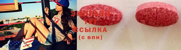 гидра Кодинск