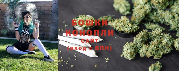 PSILOCYBIN Киренск