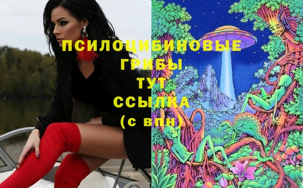 ПСИЛОЦИБИНОВЫЕ ГРИБЫ Корсаков