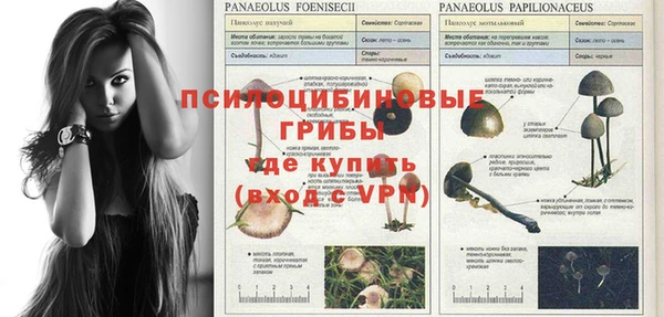 PSILOCYBIN Киренск